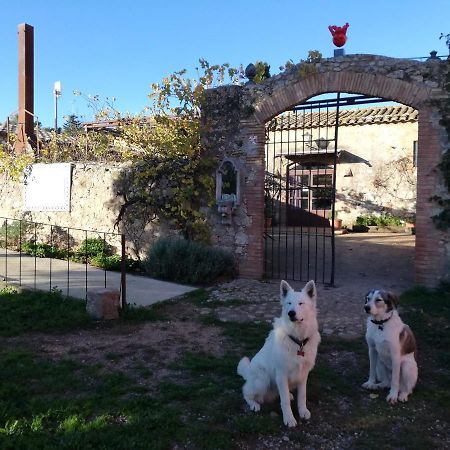 Mas Del Llop Blanc - Dog Friendly Hostal Rural - B&B Sobrestany 外观 照片